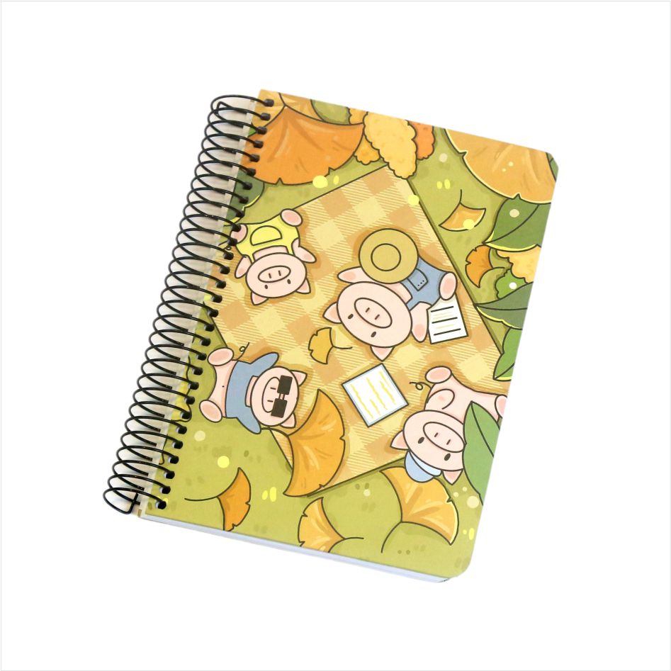 Notebooks em espiral